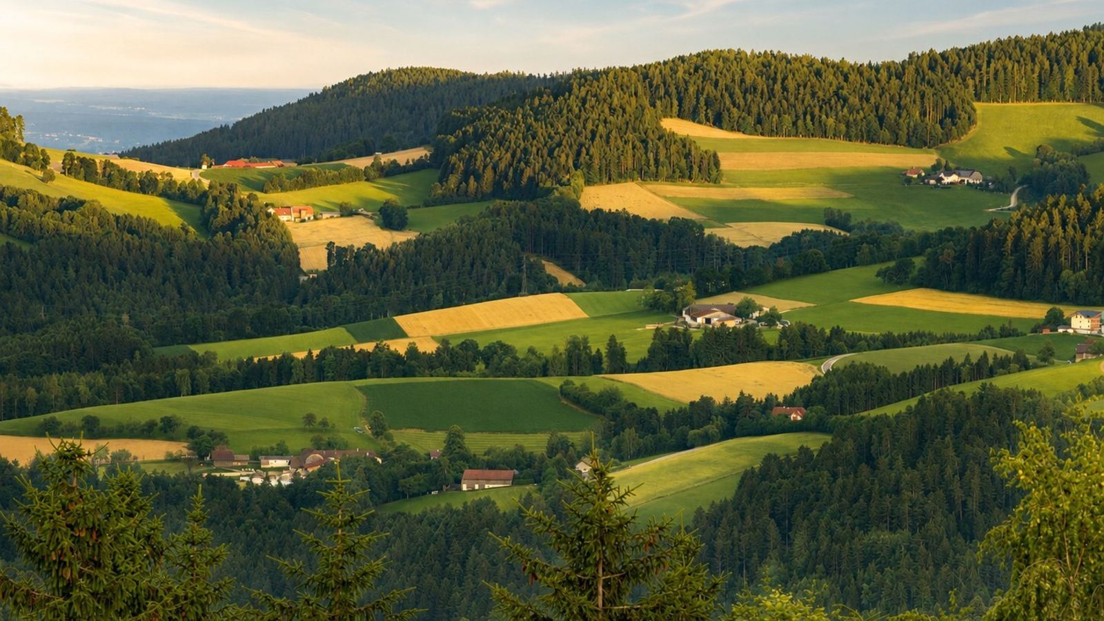 Die malerische Hügellandschaft rund um den Bauernhof mit grünen Wiesen und dichten Wäldern im sanften Abendlicht.