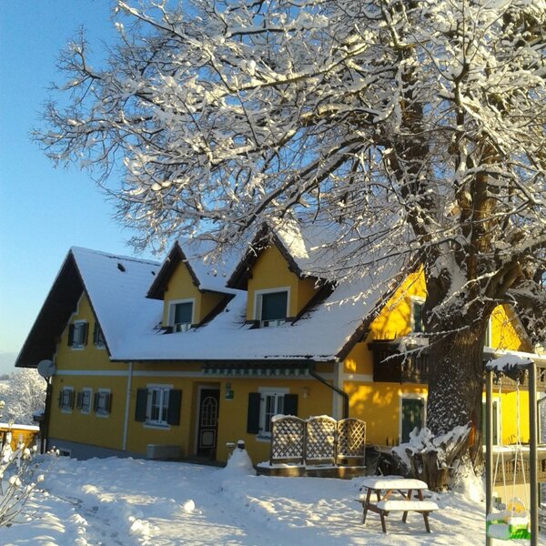 Der gelbe Bauernhof an einem sonnigen Wintertag, bedeckt mit Schnee, einem großen verschneiten Baum und einem Zugangsweg zum Haus.