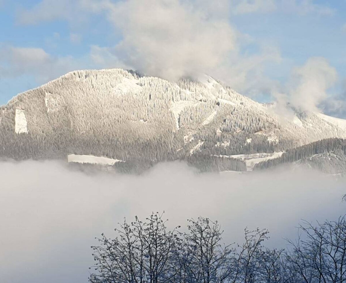 Blick vom Bauernhof auf schneebedeckte Berge, die aus einer Wolkendecke ragen, mit kahlen Bäumen im Vordergrund.