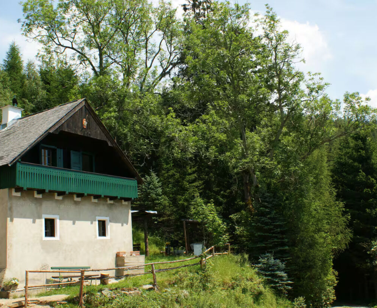 Geiereckalm im Grünen