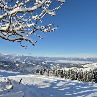 Blick auf die verschneite Winterlandschaft mit Bergen und Tälern vom Hof aus.