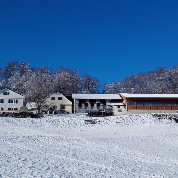 Winterfoto