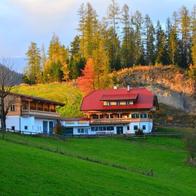 Herbstfoto