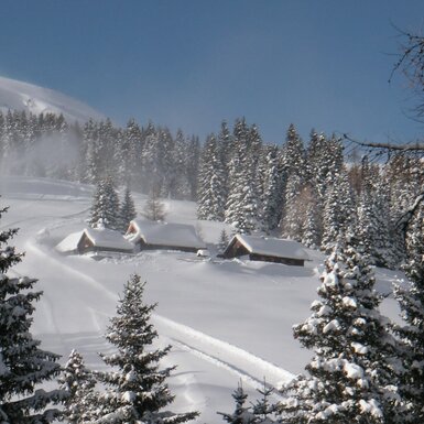 Verschneite Holzhütten und Fichtenwald in der winterlichen Umgebung des Hofes, erreichbar über einen Schneepfad.