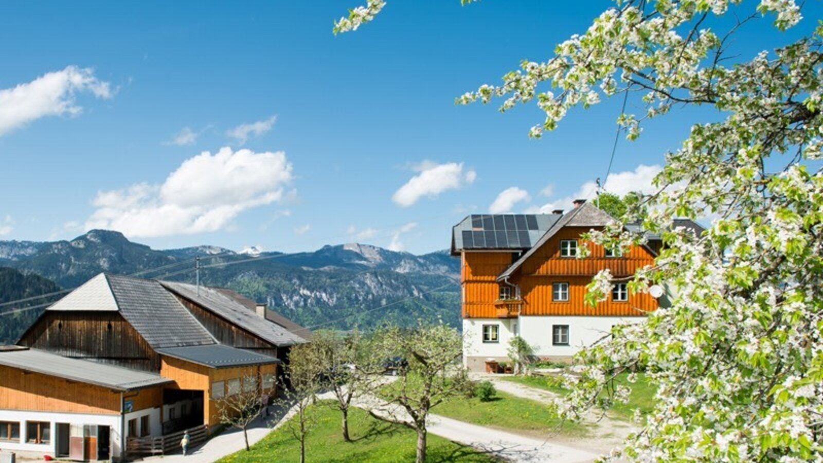 Der Bauernhof mit Holzfassade und Solaranlagen auf dem Dach, umgeben von blühenden Bäumen und mit Blick auf die Berge.