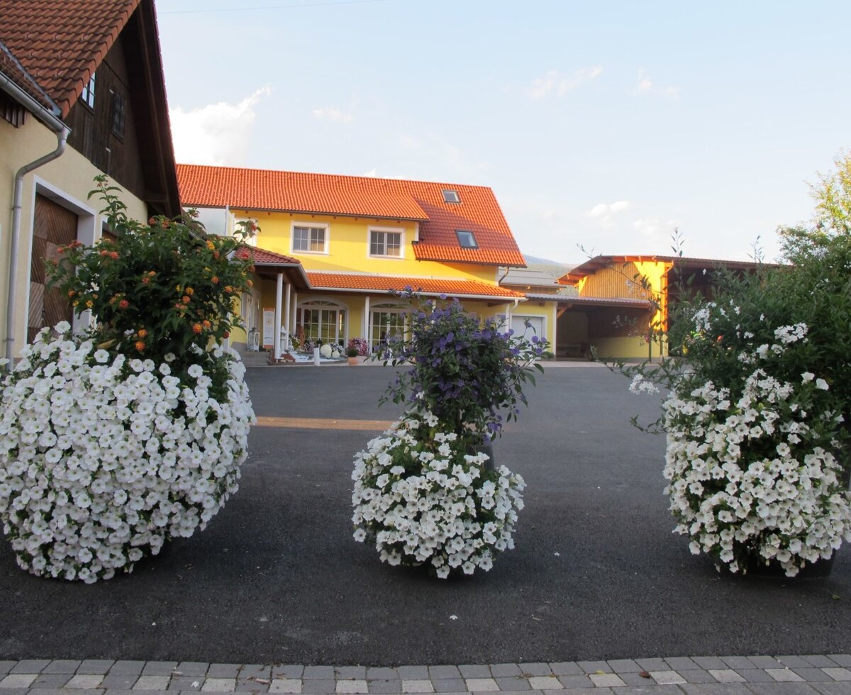 Blumen im Hof