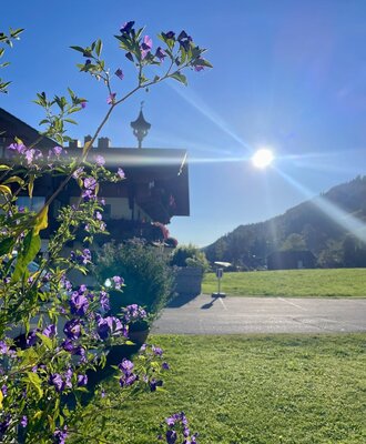 Der Bauernhof mit Blumen im Vordergrund, einer grünen Wiese und Bergen im Hintergrund unter strahlendem Sonnenschein.