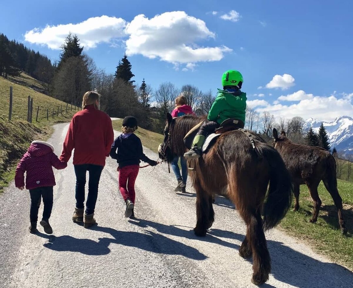 Ponyreiten und Spaziergänge für Familien auf einem Naturweg mit Bergblick, eine Aktivität für Gäste .
