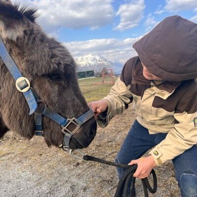 Unser Esel Mori mit einem Kind