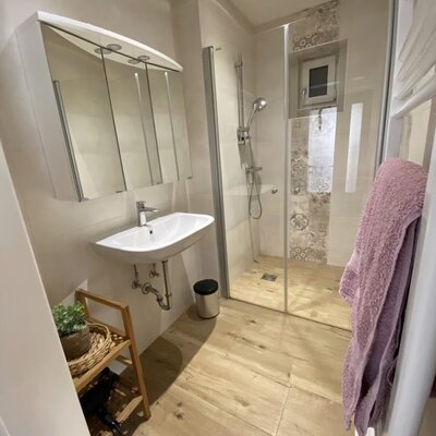 Badezimmer im Ferienhaus mit großer Dusche, Waschbecken und Spiegelschrank