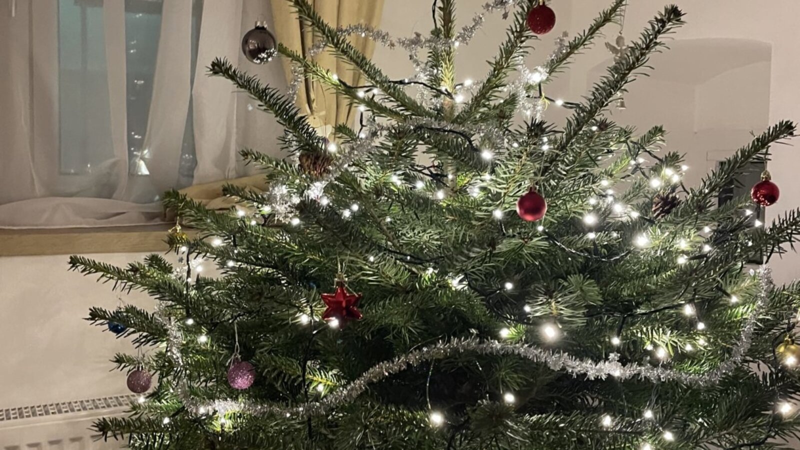 Weihnachtsbaum im Hoamatshaus 