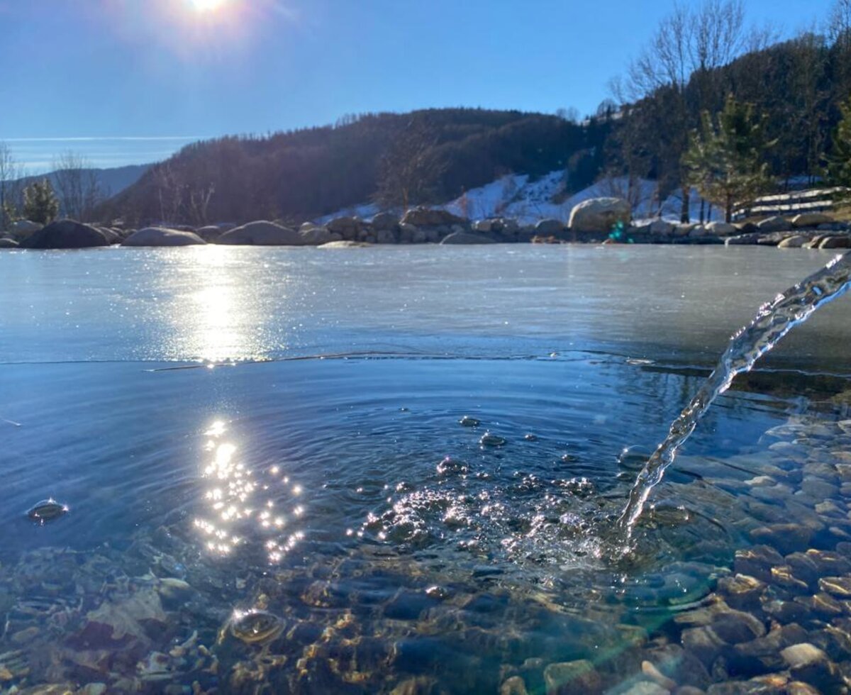 Naturschwimmteich mit eigenem Quellwasser