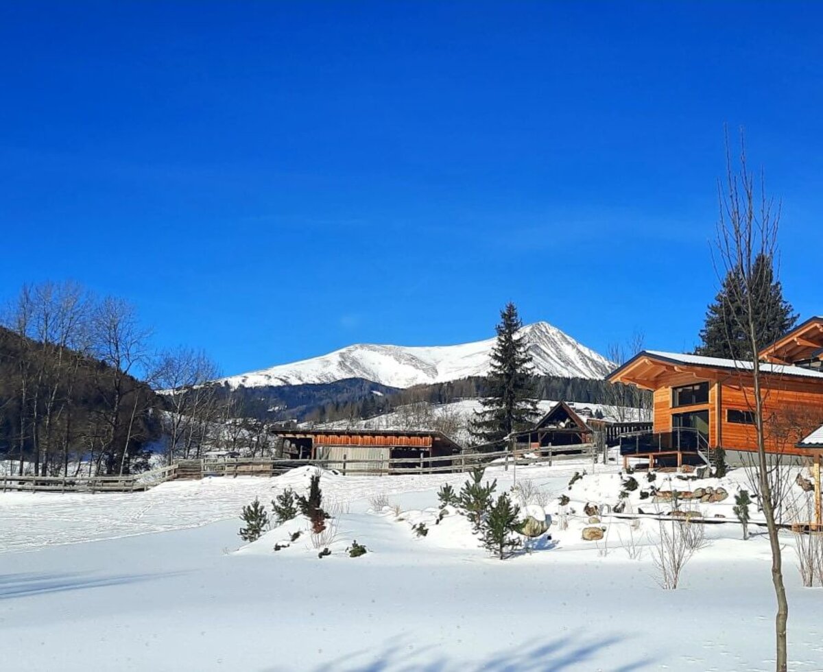 HOFCHALETS NIKOLA 1001 m