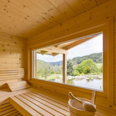 Sauna im Bauernhof mit Holzbänken und einem großen Fenster mit Blick auf die Landschaft und einen Teich.