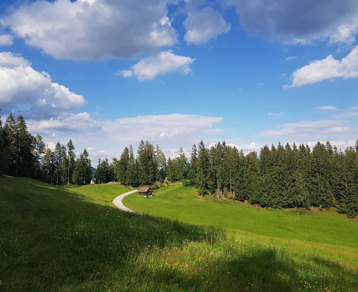 Die ländliche Umgebung des Hofes mit grünen Wiesen, dichten Wäldern und einem geschwungenen Weg, der zu einer kleinen Hütte führt.