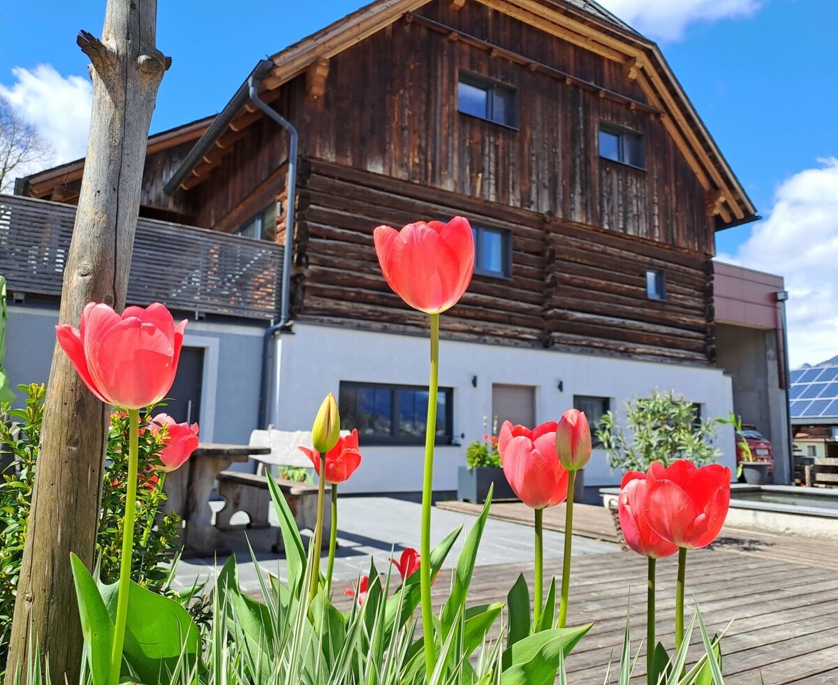 Die Außenansicht des Bauernhofs mit hölzerner oberer Etage, heller unterer Etage, einer Holzterrasse mit Sitzgelegenheiten und roten Tulpen im Vordergrund.