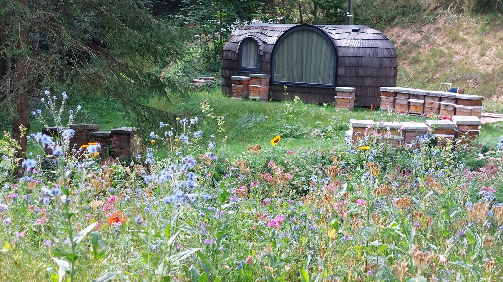 Fasshaus-Unterkunft des Igluhaus, umgeben von einer bunten Blumenwiese und Bienenstöcken.