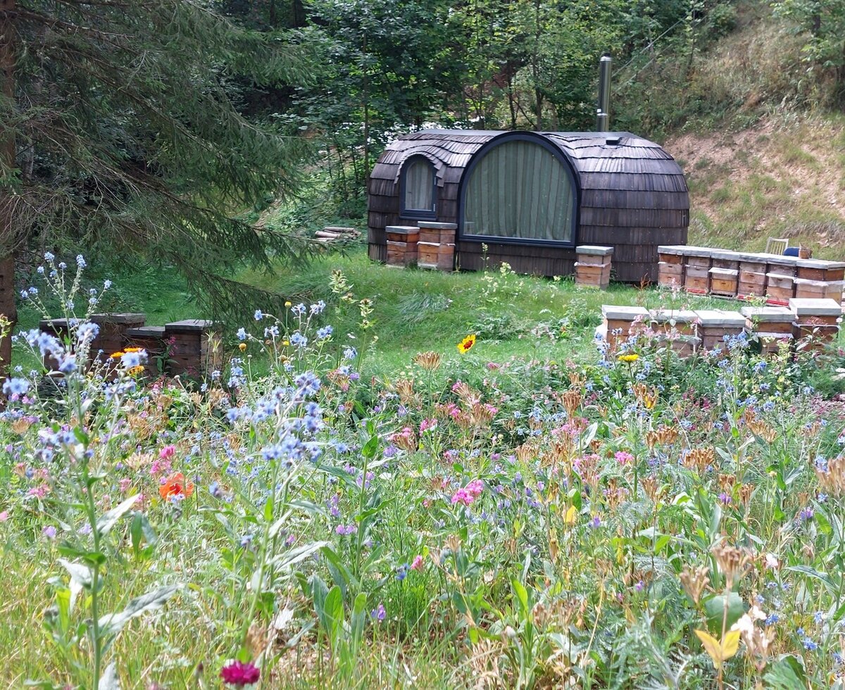 Einzigartiges Schlaffass des Igluhaus , umgeben von einer Wildblumenwiese und Bienenstöcken.