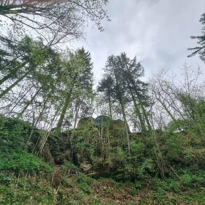 Bewaldeter Hügel mit Felsen und sichtbaren Burgruinen an der Spitze.