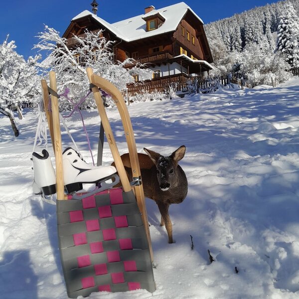 Winter