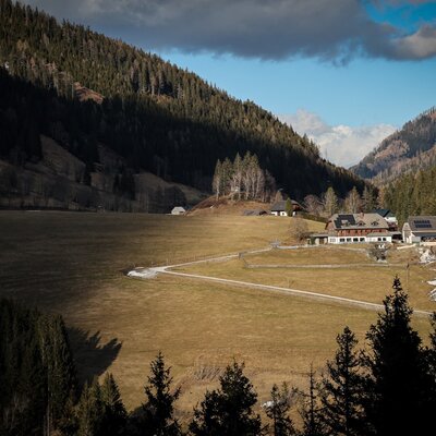 Der einladende Bauernhof liegt in einem weiten, sonnenbeschienenen Tal, umgeben von dichten Bergwäldern.