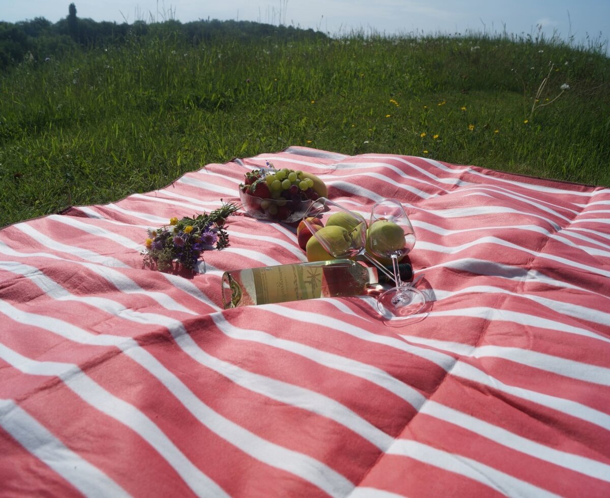 Picknick mitten in der schönen Natur