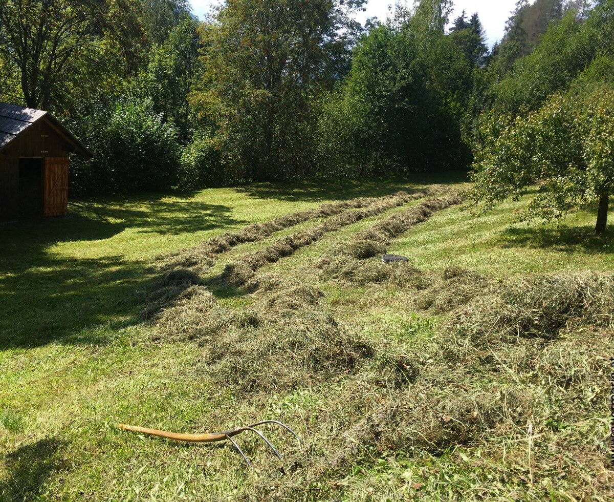 Heuernte - herrlich wie es duftet