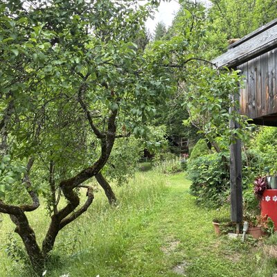 Grasweg im Außenbereich zur Hütte, umgeben von Bäumen und Sträuchern, vorbei am Wohnhaus der Vermieter