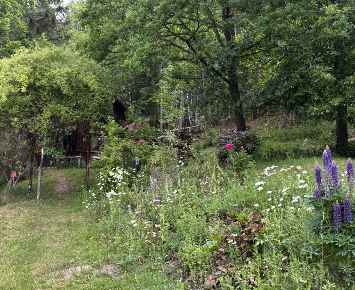 Die Hütte liegt am Waldesrand, umgeben von einer Wiese mit Wildblumen und einem Zugangspfad.