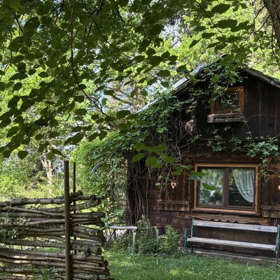 Außenansicht der Hütte mit bewachsenen Holzwänden, einem Fenster und einer Sitzbank, umgeben von Bäumen.