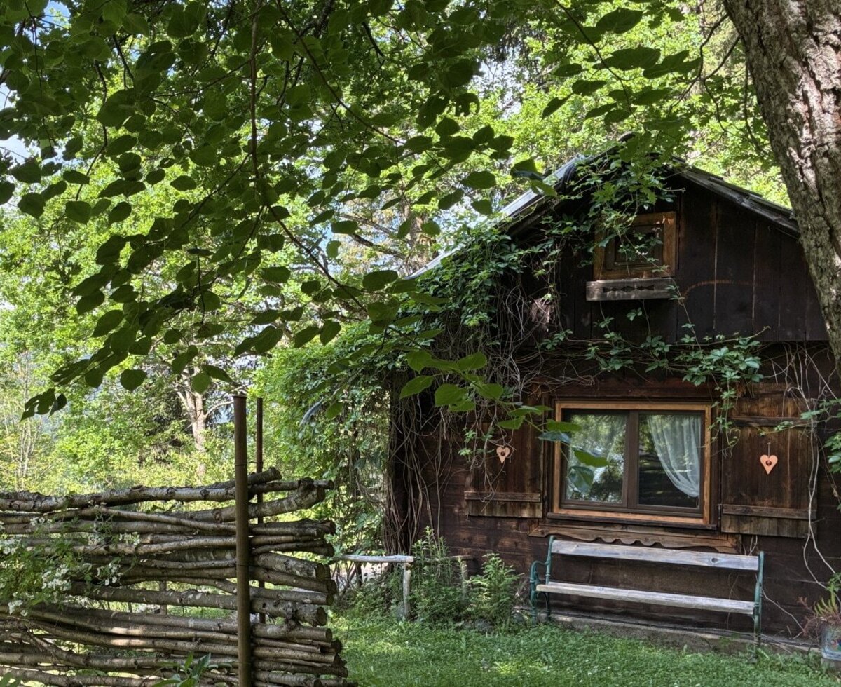 Außenansicht der Hütte mit bewachsenen Holzwänden, einem Fenster und einer Sitzbank, umgeben von Bäumen.