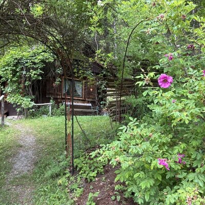 Die rustikale Hütte, umgeben von üppigem Grün und blühenden Rosen, mit einem bewachsenen Bogen über dem Pfad zum Eingang.