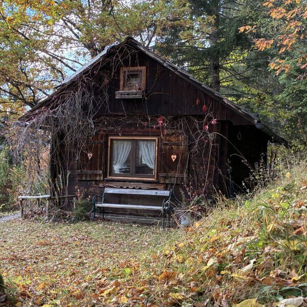 Eine traditionelle Holzhütte am Waldrand, umgeben von vielen Laubbäumen mit einer gemütlichen Holzbank davor.