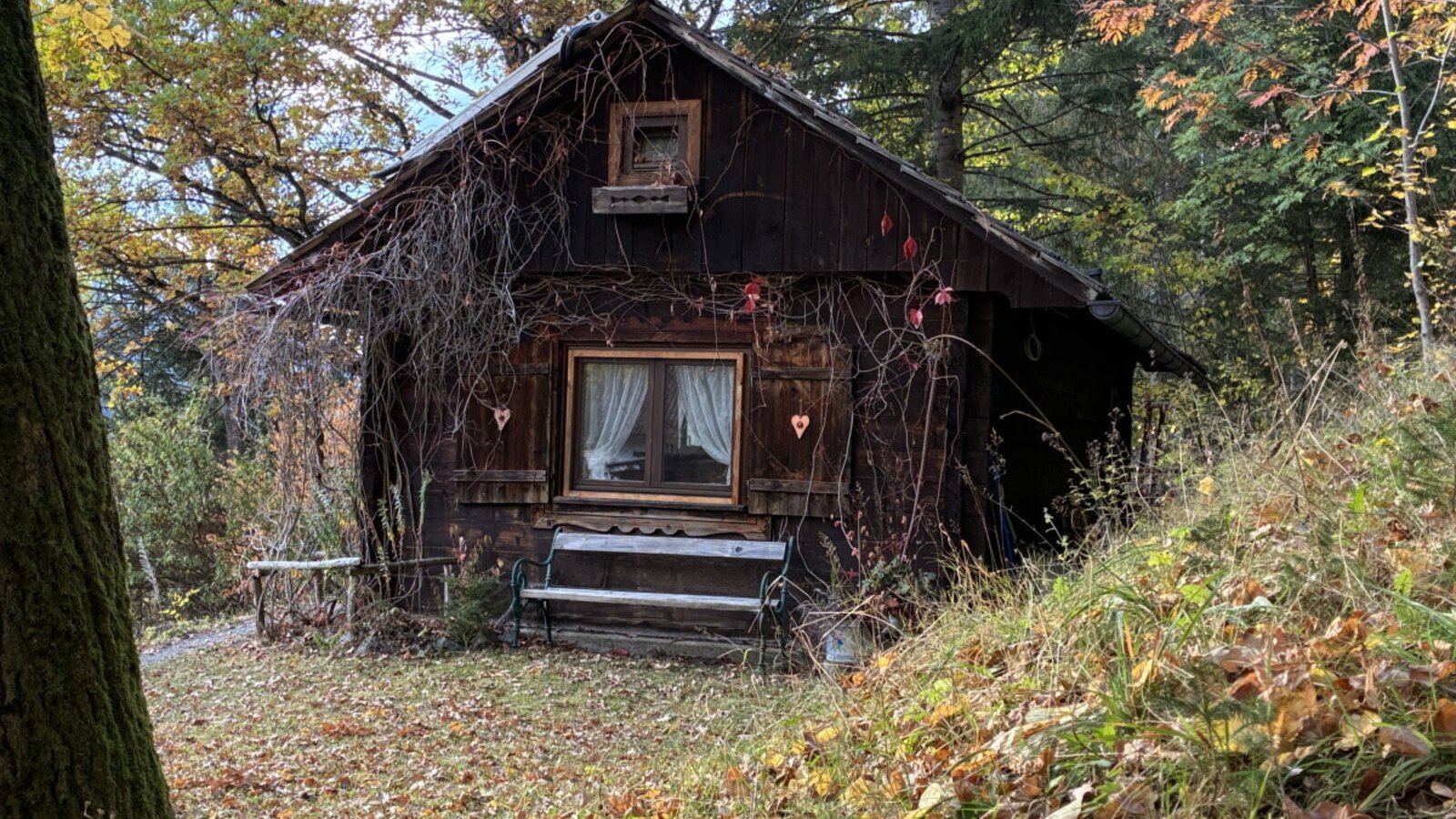 Eine traditionelle Holzhütte am Waldrand, umgeben von vielen Laubbäumen mit einer gemütlichen Holzbank davor.