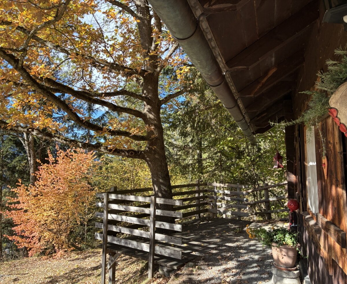 Die einladende Holzterrasse der Hütte, umgeben von farbenfrohen Bäumen am idyllischen Waldesrand.