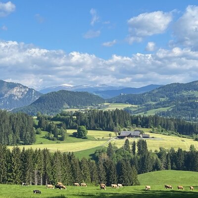 Aussicht auf das Lachtal