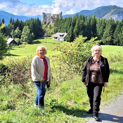 Die Umgebung des Bauernhofs mit einer Burgruine, umgeben von grünen Wiesen, Wäldern und einer Bergkulisse.