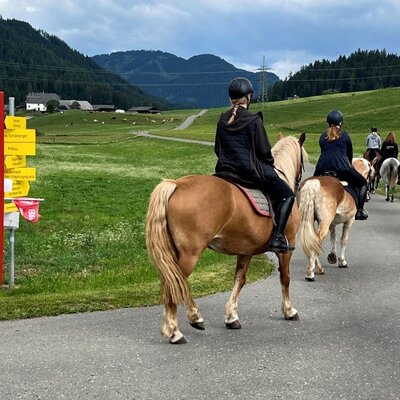 Geführter Ausritt auf dem Bauernhof durch die malerische, grüne Landschaft des Naturparks.