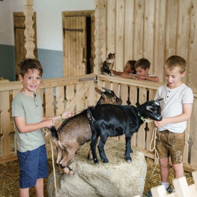 Zwei Jungen halten Ziegen im Stall des Bauernhofs, während andere Kinder zusehen.