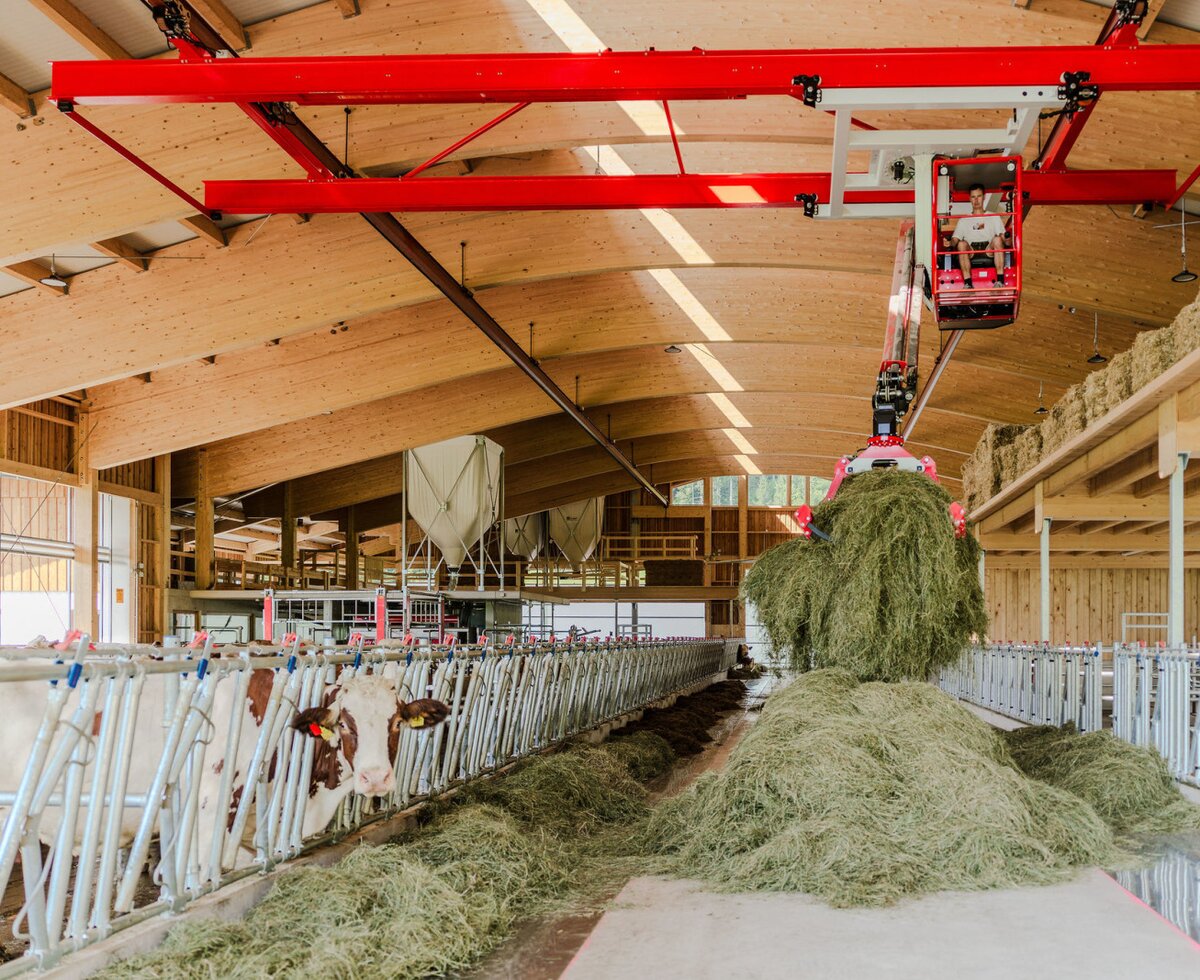 Der moderne Kuhstall des Bauernhofs mit Fütterungssystem und Heu.