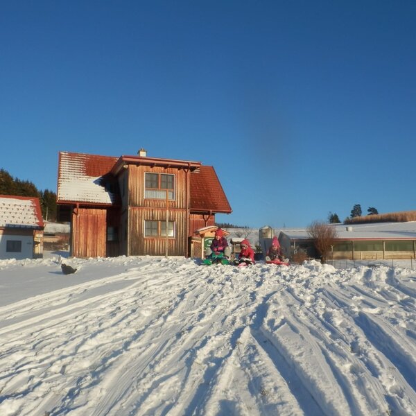 Spass im Winter