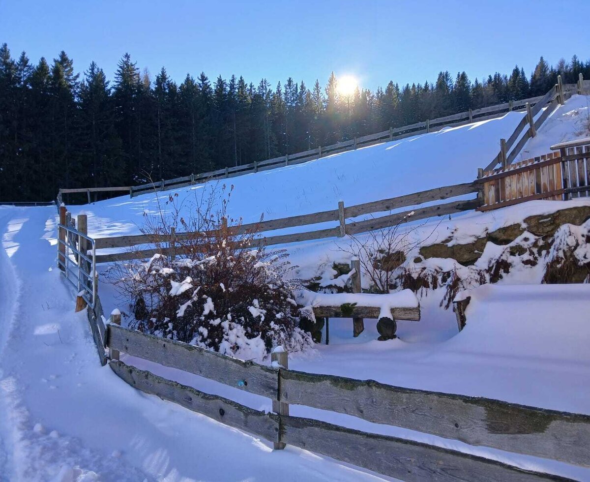 Winterlandschaft der Alm mit verschneitem Weg, Holzzaun und Wald im Hintergrund.