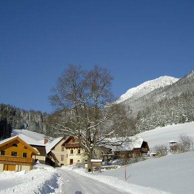 Winter am Michlbauerhof