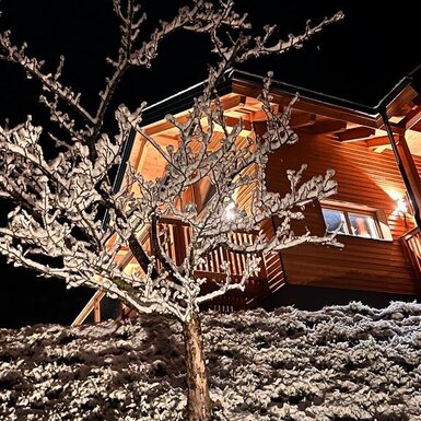 Außenansicht des Hofs in einer Winternacht mit verschneitem Baum und warm beleuchteter Fassade.