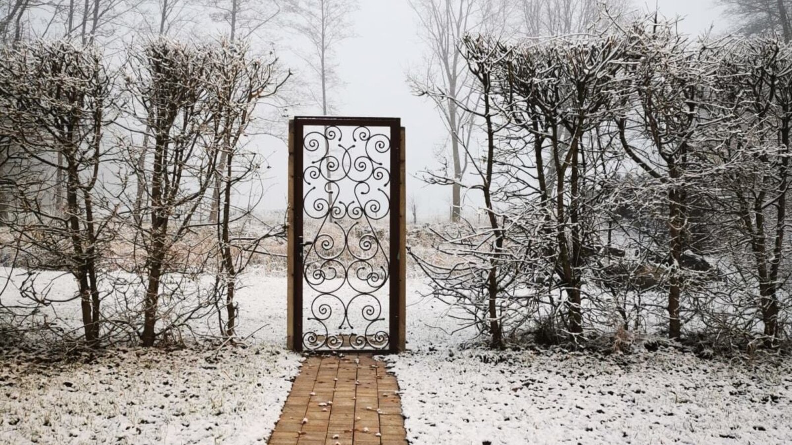 Winter