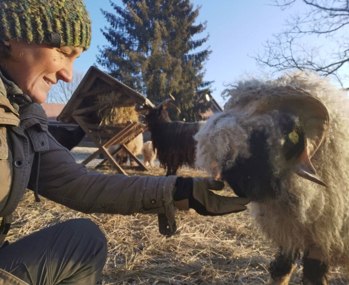 Tiere füttern am Hof