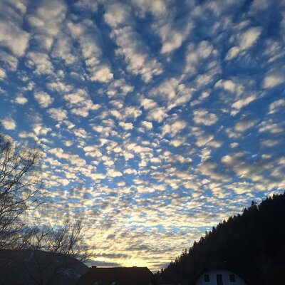 Himmel mit Wolkenmuster über der bewaldeten Umgebung des Bauernhofs.