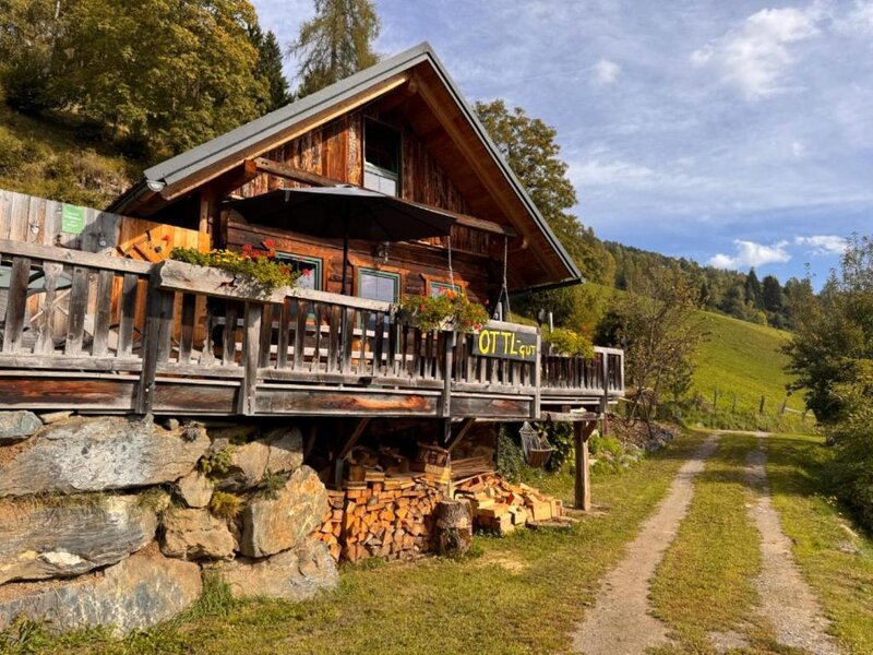 Die Ottls Hütte aus Holz mit einer einladenden Terrasse inmitten idyllischer Natur.