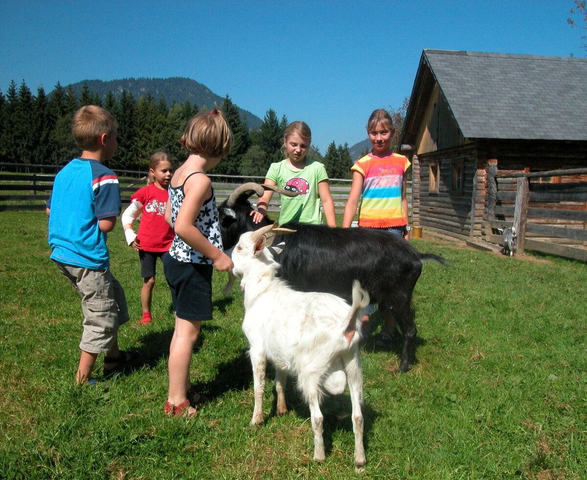 Kinder interagieren mit Ziegen auf der Wiese des Bauernhofs.