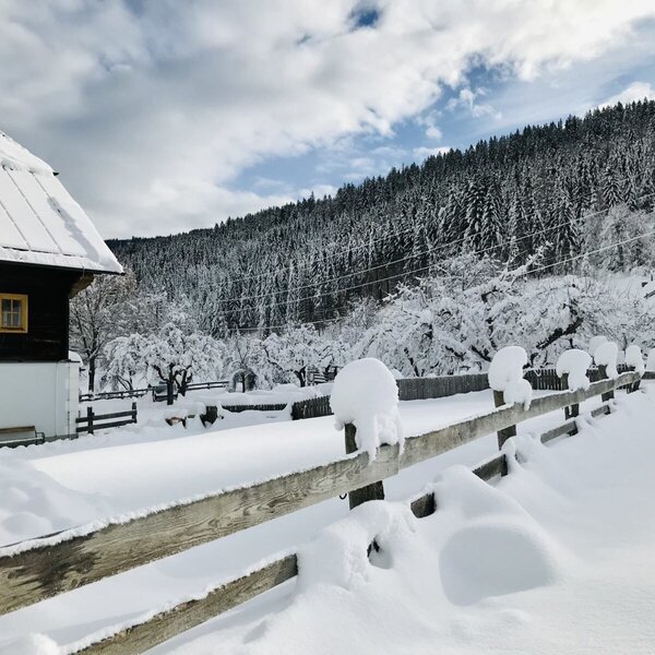 Die winterliche Außenansicht des Bauernhofs mit verschneitem Zaun und Waldkulisse.